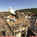 10_05-nest.jpg