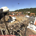13_20-nest.jpg