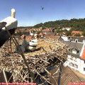 13_50-nest.jpg