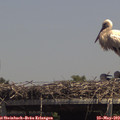 14_00-mast.jpg
