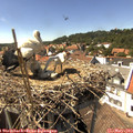 15_10-nest.jpg