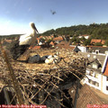 16_00-nest.jpg