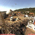 16_10-nest.jpg