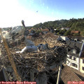 18_35-nest.jpg