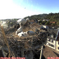 18_45-nest.jpg