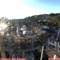19_40-nest.jpg