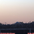 05_30-mast.jpg