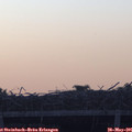 05_35-mast.jpg