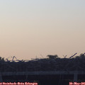 05_45-mast.jpg