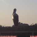 06_00-mast.jpg