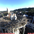 06_45-nest.jpg