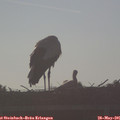 07_00-mast.jpg