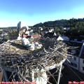 07_05-nest.jpg