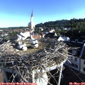 07_25-nest.jpg