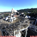 07_30-nest.jpg