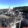 07_35-nest.jpg