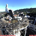 07_45-nest.jpg