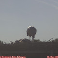 08_00-mast.jpg