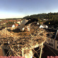 08_00-nest.jpg
