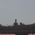 08_25-mast.jpg