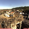 08_25-nest.jpg