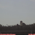 08_30-mast.jpg