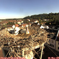 08_30-nest.jpg