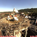 08_40-nest.jpg