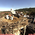 08_55-nest.jpg