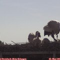 09_05-mast.jpg