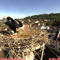 09_05-nest.jpg