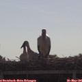 09_10-mast.jpg