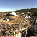 09_20-nest.jpg