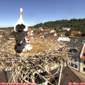 11_15-nest.jpg