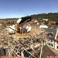 11_35-nest.jpg