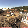 15_05-nest.jpg