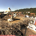 15_10-nest.jpg
