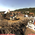 16_10-nest.jpg