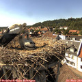 16_20-nest.jpg