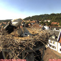 16_45-nest.jpg