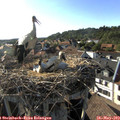 18_10-nest.jpg