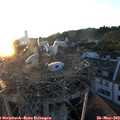 20_45-nest.jpg