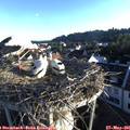 06_30-nest.jpg