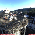 06_35-nest.jpg