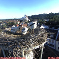 06_45-nest.jpg