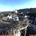 06_50-nest.jpg