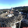 06_55-nest.jpg