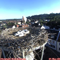 07_00-nest.jpg