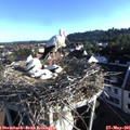 07_10-nest.jpg