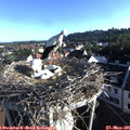 07_15-nest.jpg